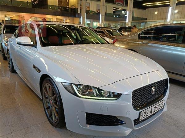 Jaguar for sale in Iraq